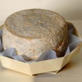 Сыр Сомпор, выделяющийся из формы