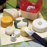 Assortiment de fromages sur pani-set 
